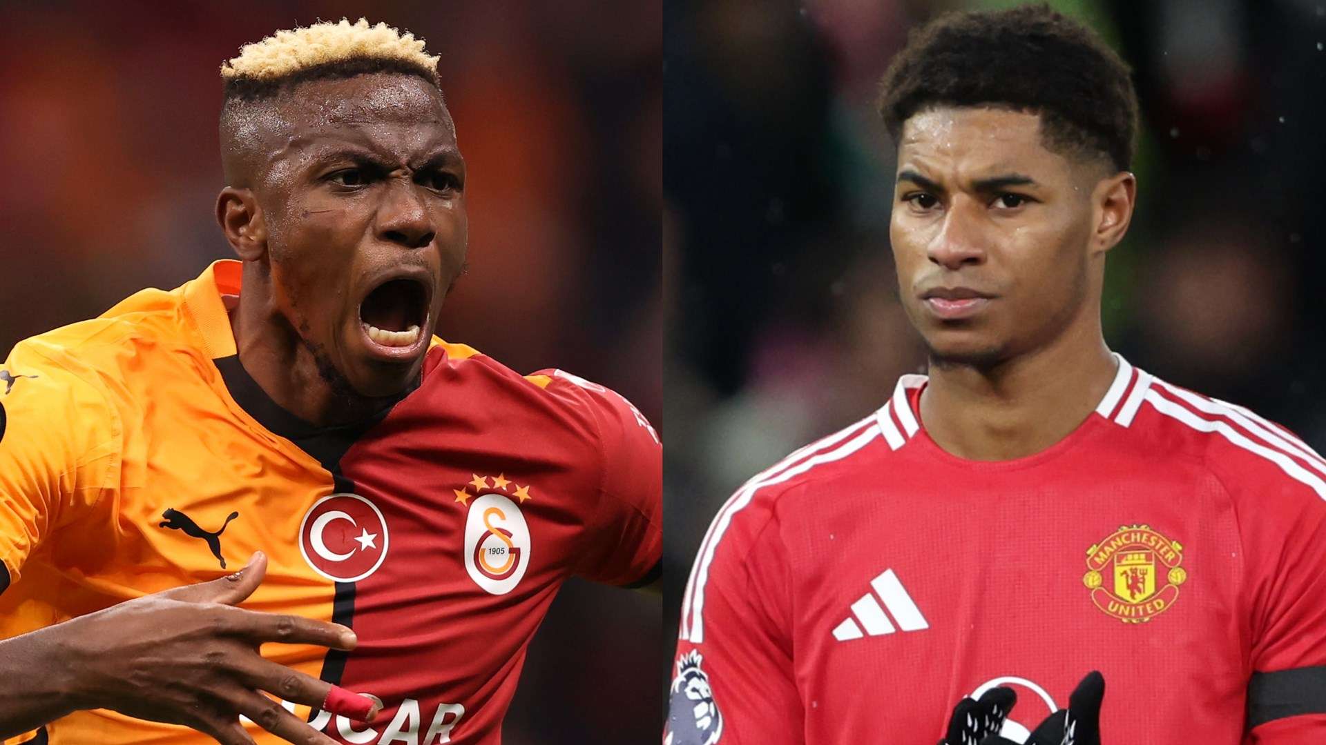 都应该积极 都应该积极